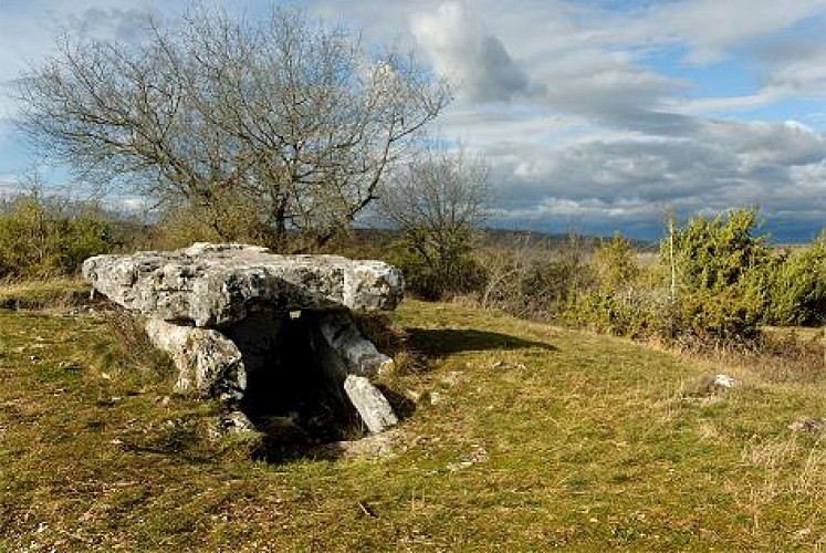 Dolmens_1
