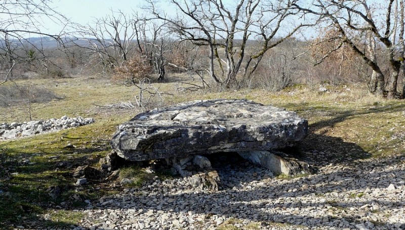 Les Dolmens St Cernin de Larche