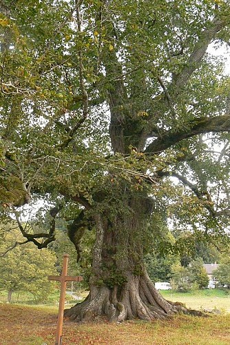 Chapelle du Mas Saint Jean - Saint Sulpice le Dunois