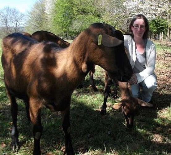 Un Brin de Chèvre