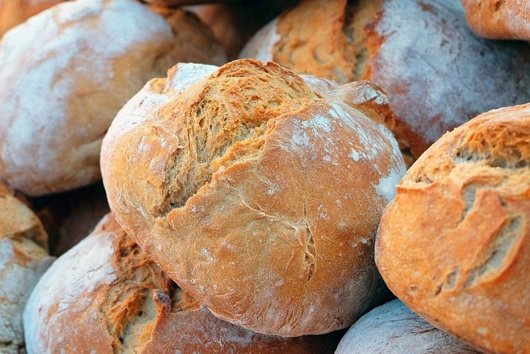 La Ferme des Champs - bread