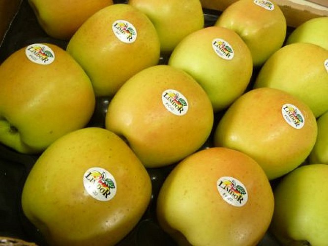 limdor saint-yrieix_1