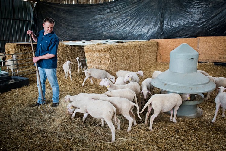 Producteur de bon goût