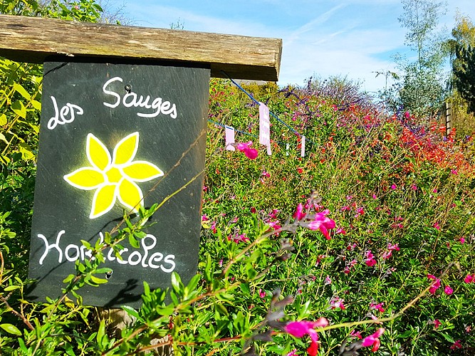 jardin-des-sens©Hélène_B(1)