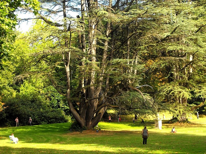 SAINT LAURENT LES EGLISES Walmath parc (2)