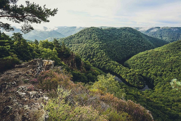 Belvédère de l'Echamel