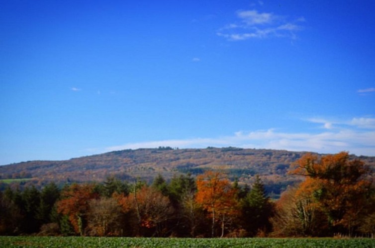 Les Monts de Blond_2