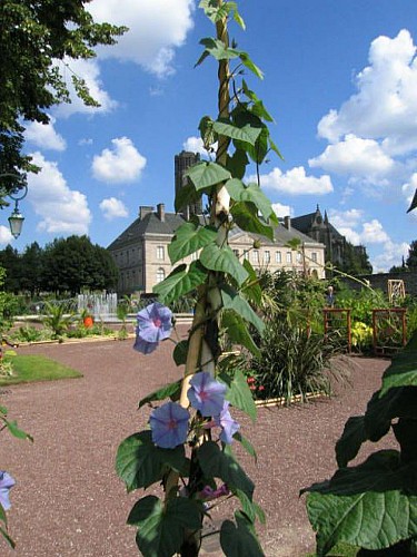 The Evêché gardens