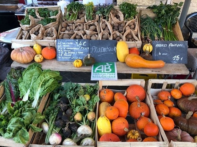 Ferme-bio-St-Martin-de-Gurson-légumes sirtaqui