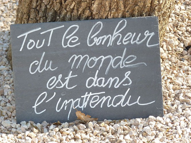 Conchez de béarn Yourtes Coccinelles crédit SMT NB (16)