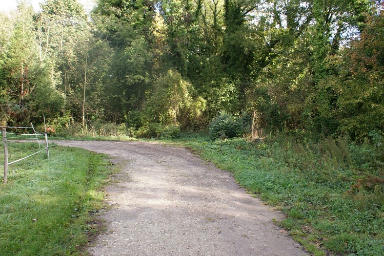 Eglise de Moigny-sur-Ecole