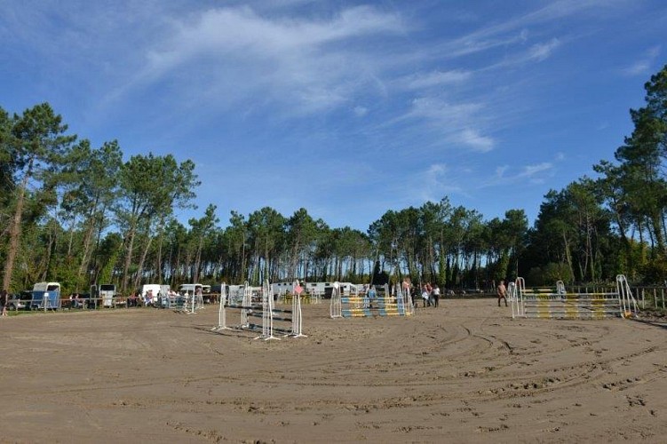 Lous chivaus carriere obstacles