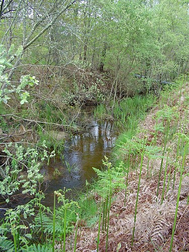 Image du poi