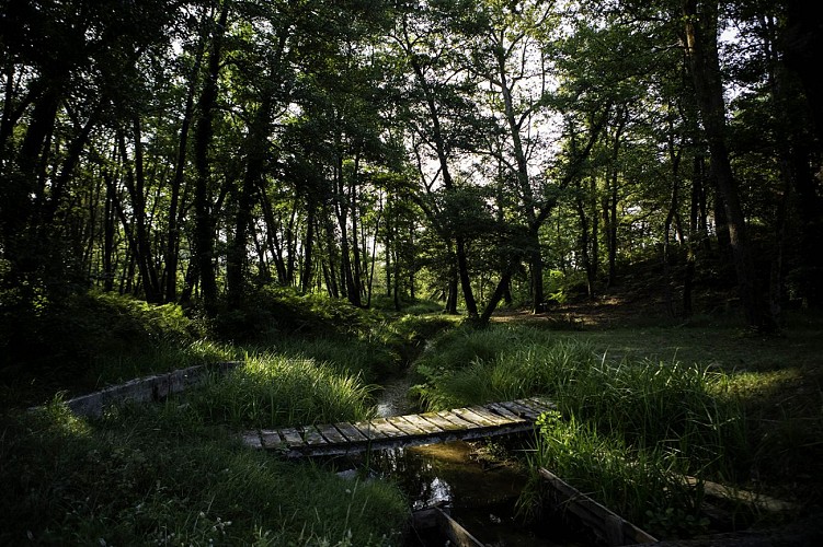 Centre de Biodiversité Jean Rostand