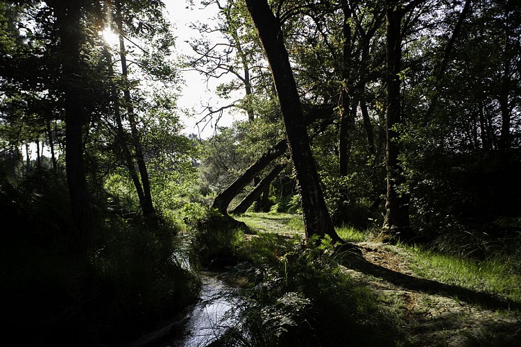 Centre de Biodiversité Jean Rostand