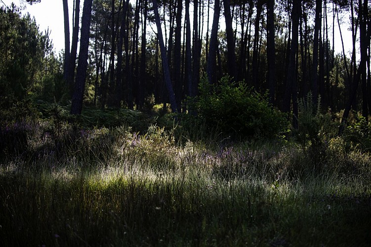 Centre de Biodiversité Jean Rostand