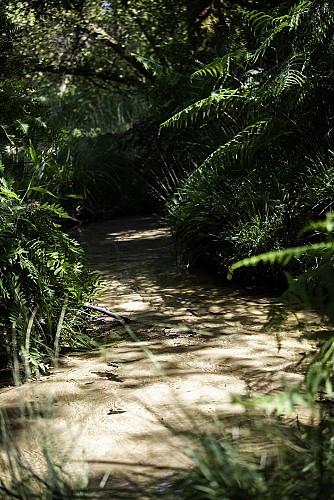Centre de Biodiversité Jean Rostand
