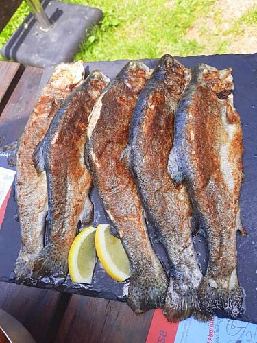 La Pêche à la truite