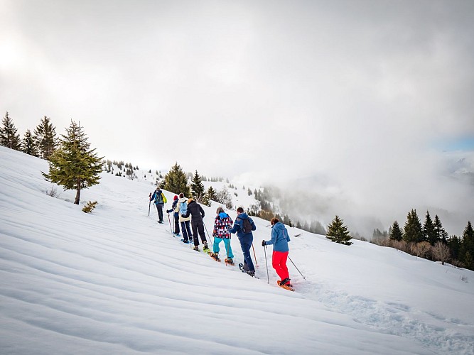 Quintessence - Accompagnateur en montagne