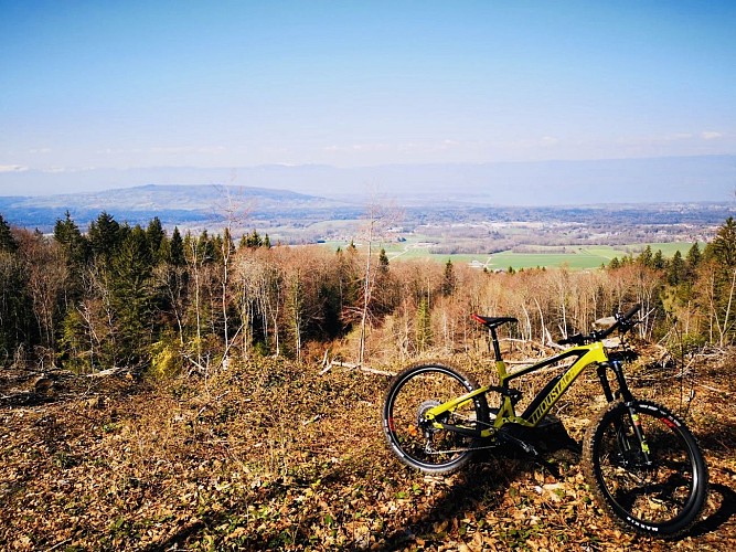 LS Lanches Sport Thonon