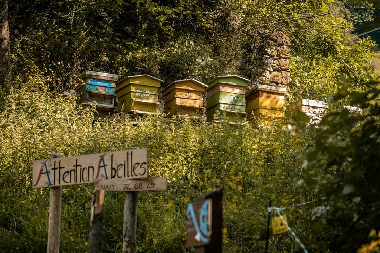 Notre Dame d'Aulps abbey