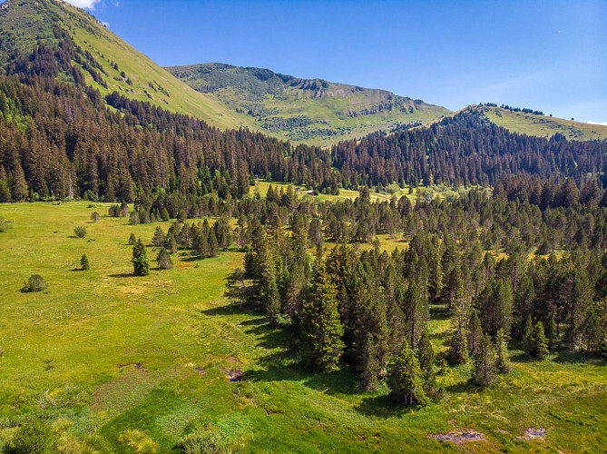 The Sommand peat bog