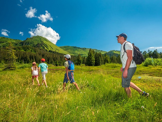 The Sommand peat bog