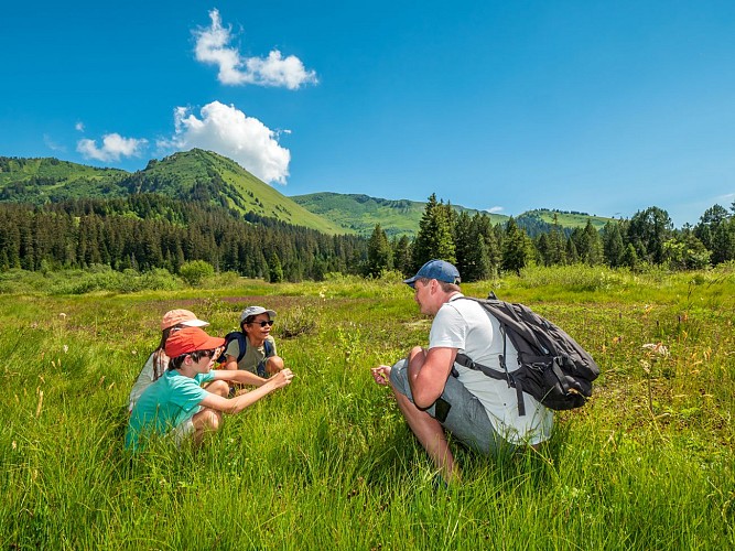 The Sommand peat bog