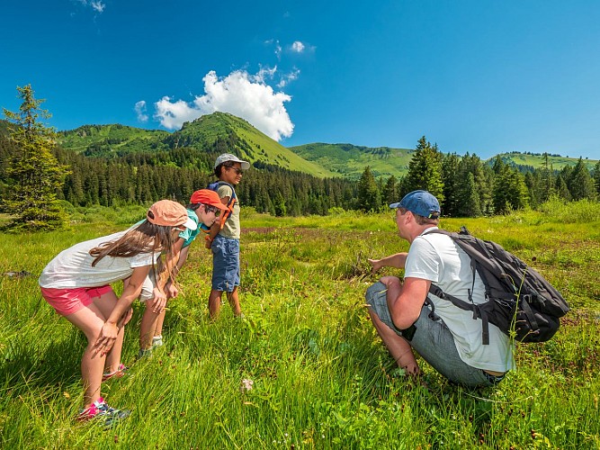 The Sommand peat bog