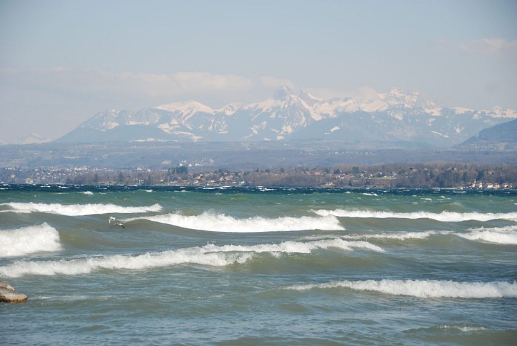 Spiaggia panoramica