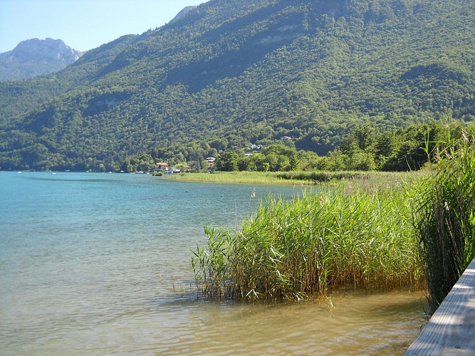 Réserve Naturelle Nationale du Bout du Lac d'Annecy