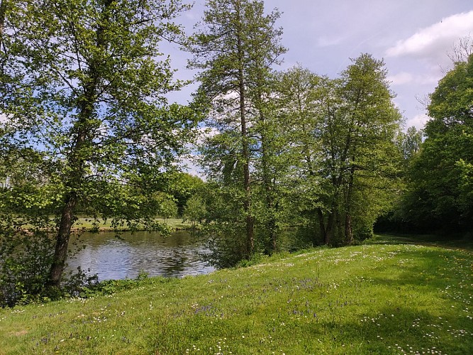 Plan d'eau de la Fontaine aux Merles