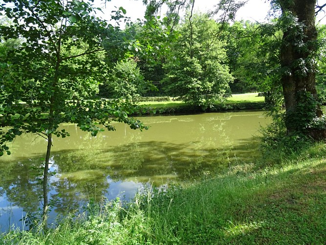 Plan d'eau de la Fontaine aux Merles