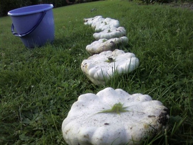 Chambres d'hôtes – Veronique Gury Airbnb