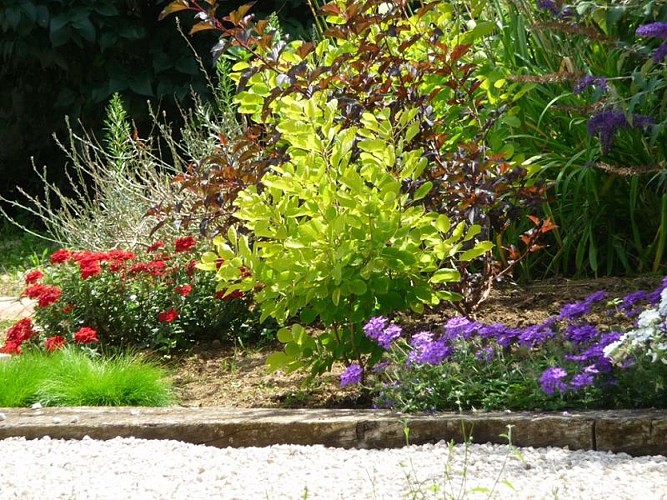 Meublé – Chez Marianne