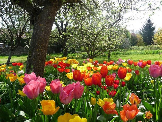 Meublé – Chez Marianne