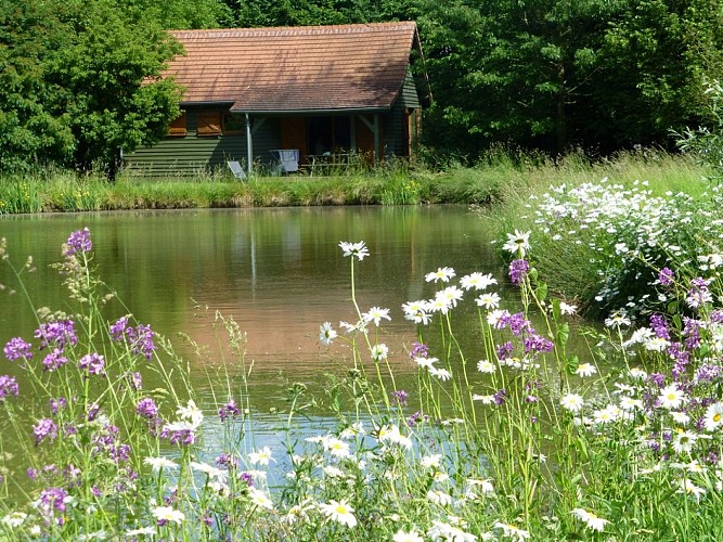 reflet dans l'étang