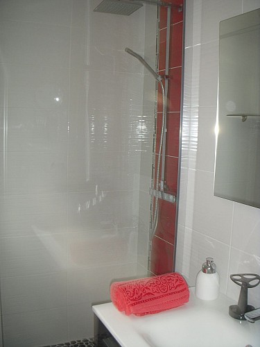 Furnished Saint-Francois