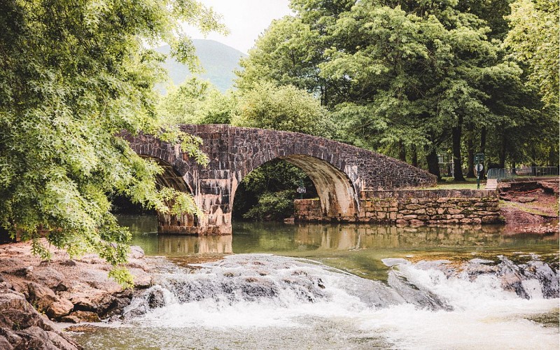 53211192097_c9b6cf2035_o