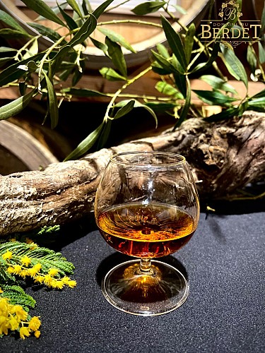 2025 - BOUR - Domaine de Berdet - Verre d'Armagnac - ©Domaine du Berdet (2)