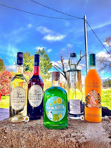 2025 - BOUR - Domaine de Berdet - Produits - ©Domaine du Berdet