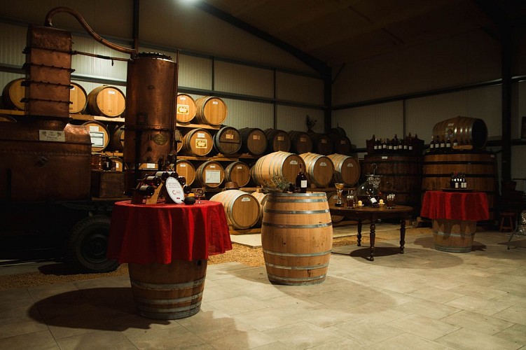 2025 - BOUR - Domaine de Berdet - Chai - ©Domaine du Berdet