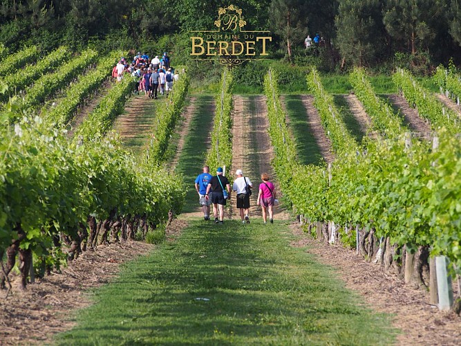 2025 - BOUR - Domaine de Berdet - Rando des vignes - ©Domaine du Berdet (2)