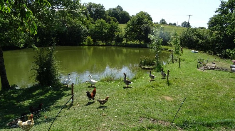 Terre & Eau - Tentes Ecolodges