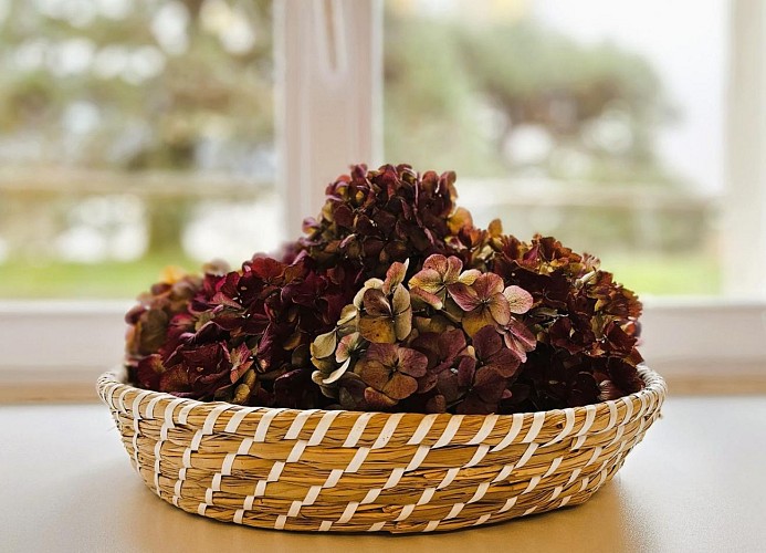 Au bonheur des Millevaches