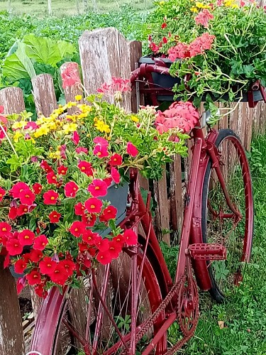 Le fournil de Lalo_10