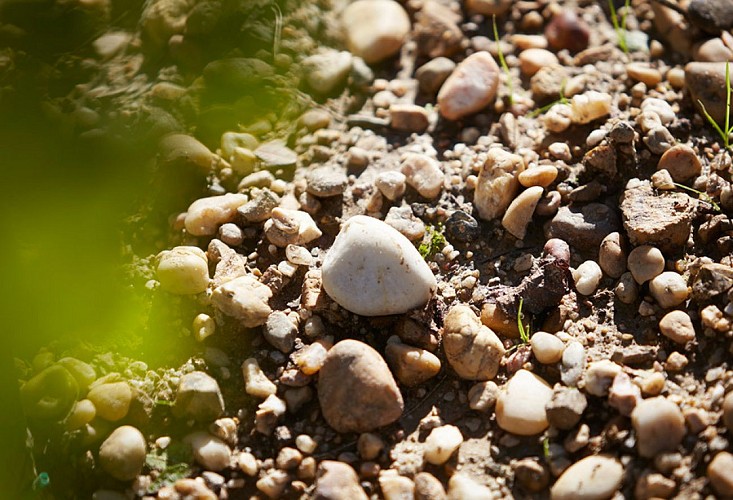 Sol_graveleux-Chateau_Clare-vin_Bordeaux-Graves_rouge-952x650