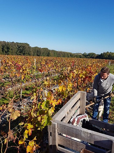 124152658_3470958269685407_96964714612071960_n