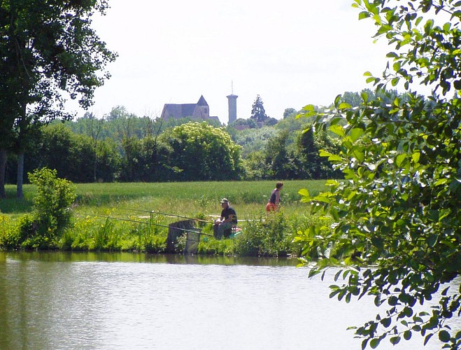 Beaulieu sur Loire - pêcheur 