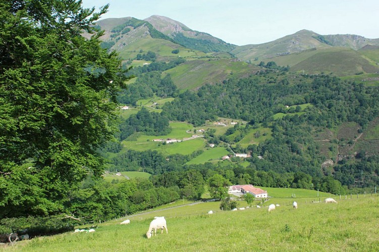 gaec ohako vue montage banca
